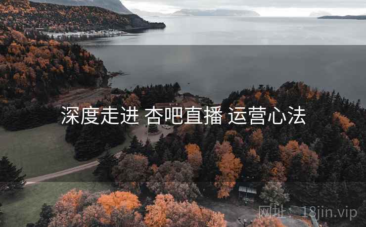 深度走进 杏吧直播 运营心法